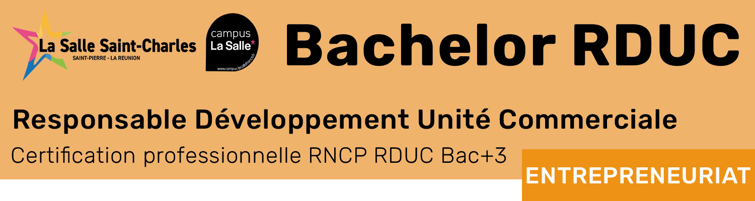 Bachelor Responsable Développement Unité Commerciale